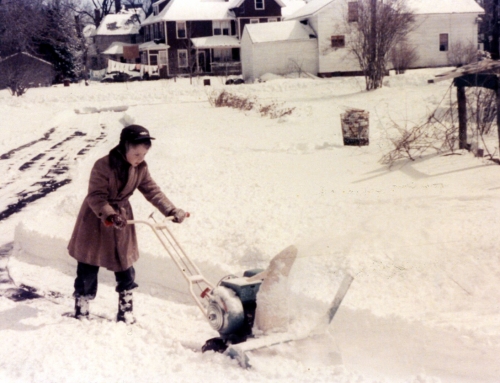 Windsor Winter Work and Play